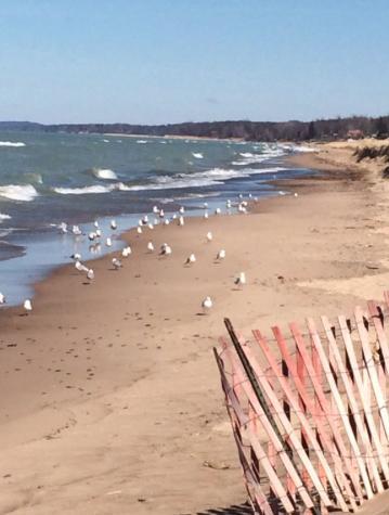 Walking Distance To Beach And Shops Ню Бъфало Екстериор снимка